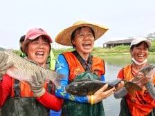 家在九江⑩｜鱼跃桑田