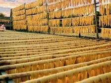 润泽食品：擦亮腐竹名片，“带富”山里的客家人丨广东农企品牌价值50强评选企业巡礼