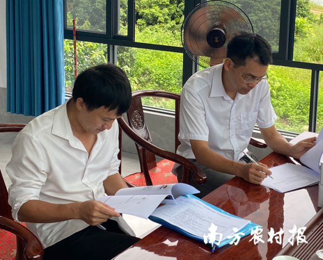专家考察高州市永兴生态农业发展有限公司荔园。 专家考察高州市永兴生态农业发展有限公司荔园。