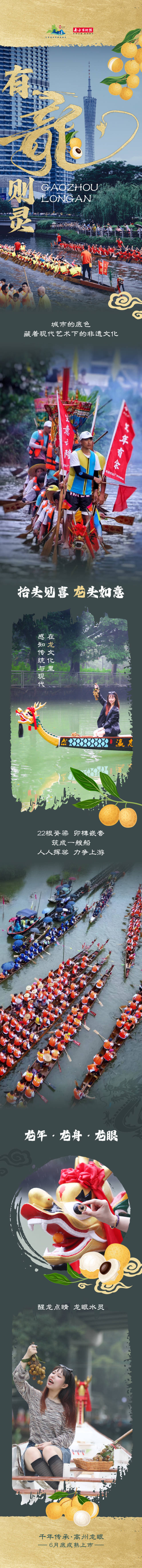龙年·龙舟·龙眼|抬头见喜,有龙则灵