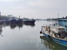 漠阳水运兴衰，隐藏着这座城怎样的生长密码？丨阳江历史文化行