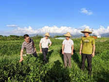 惠州学院：“四个下沉”精准助力“百千万工程”