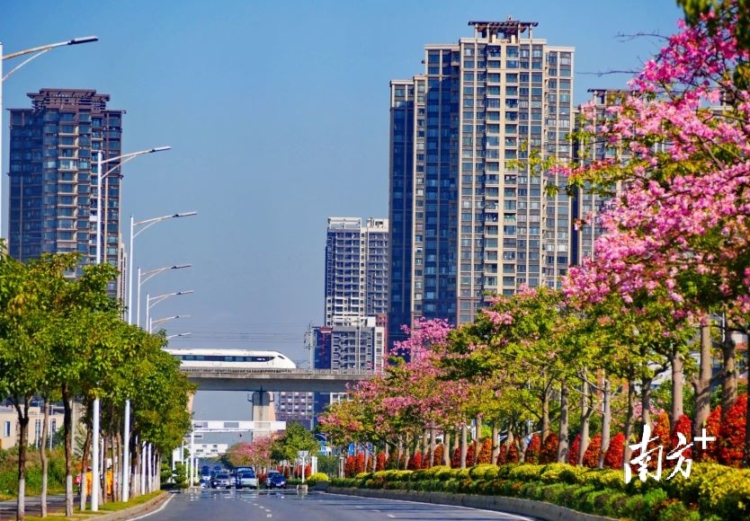 城际铁路贯通，在云东海乐享“大湾区1小时生活圈”。