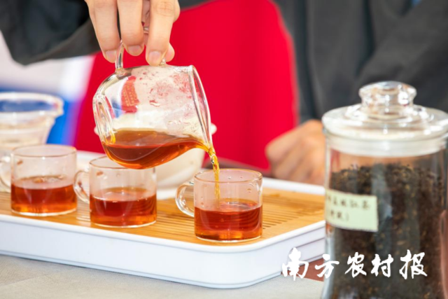 启动!舒城县杭埠河沃孜大桥