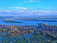 家在九江⑪丨“小广州”的繁荣与沧桑