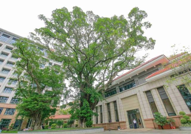 南方农村报 李嘉镓 制图