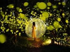 暑假来了！来深圳西涌看夏季银河，寻找你的生日星座