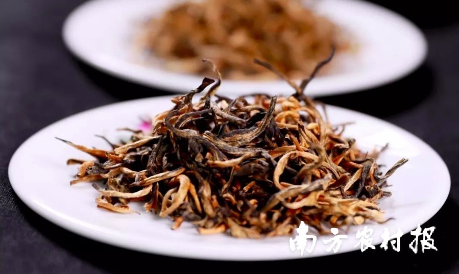 英德红茶