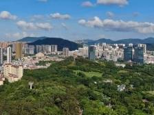 中山东区：相连相融，谱写深中一体化新篇章丨深中一体 镇街行动