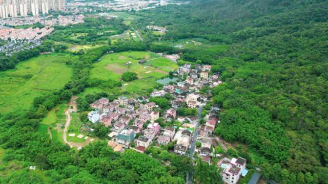 中山桂南村：村里的课堂如何出圈？|“百千万工程”看文创