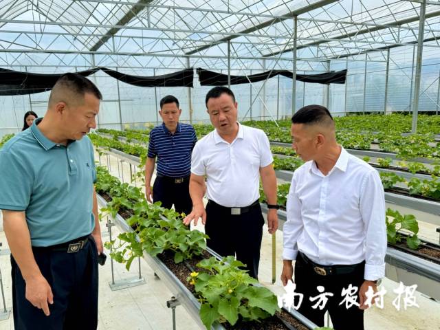 陈旭球（右二）和工作队成员在考察独山农业产业。