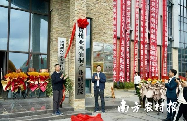 2023年11月，贵州亚鸿油桐产业研究院在独山县正式揭牌成立。  