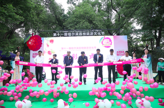 第十一届哈尔滨荔枝文化节开幕。