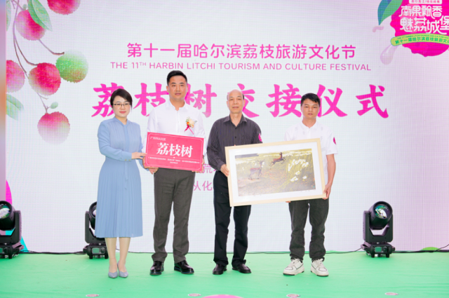 荔枝树交接仪式。