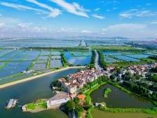 一只青蟹如何撬动龙穴“蓝色经济”？｜《南沙方案》两周年