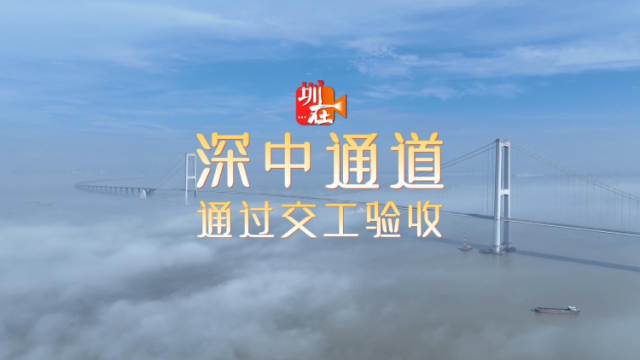 最新进展！深中通道通过交工验收｜南方+视频