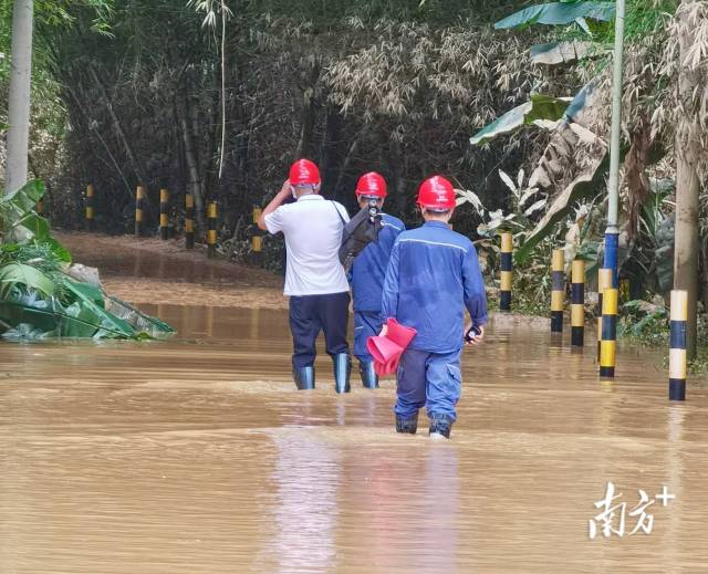 6月18日，南方电网广东梅州丰顺供电局潭江供电所观察水退之后，立即组织工作人员涉水前往达到安全要求的线路设备进行逐步复电，做到“水退，人到，电复”，尽最短时间恢复受灾群众供电。余华平 摄