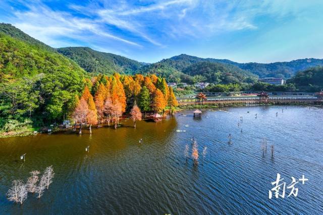 梅州深入推进绿美生态工程建设。图为清凉山郊野公园。