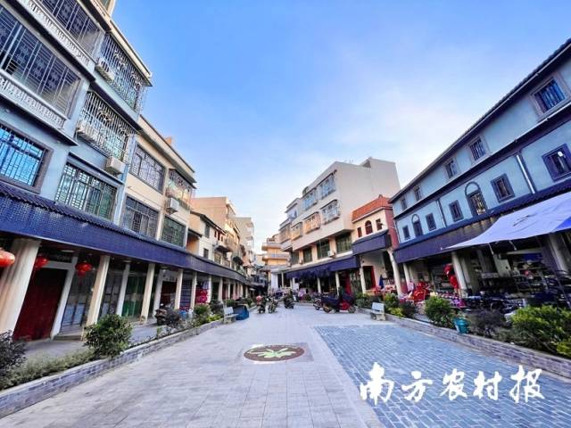 驻梅州丰顺留隍镇工作队积极助力骑楼古街改造项目落地实施。受访者供图