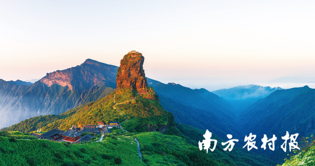 “黔山第一”梵净山，“梵净抹茶”来自于此。