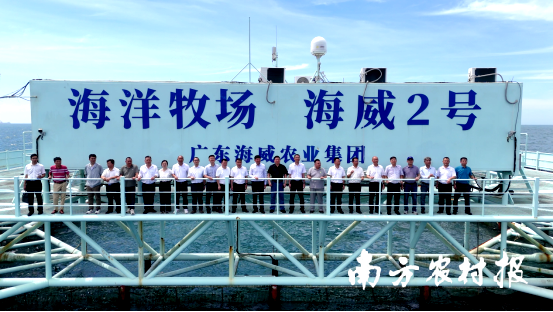 雷州市委办、市政府办、市科工贸和信息化局、覃斗镇相关负责同志，广东海洋大学、广东生态工程职业学院相关学院和部门领导及专家,以及广东海威农业集团有限公司相关负责人等参加活动。