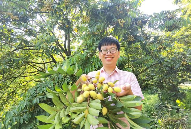 留隍鎮(zhèn)橄欖種植已有200年歷史，尤以“清香甘甜”著稱,。