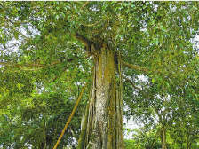 “驻”进心里头 帮到点子上 |  速览《南方日报·遂溪视窗》111期