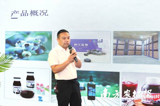 贵州麻小莓品牌规画有限公司总司理沈成先推介麻江蓝莓。