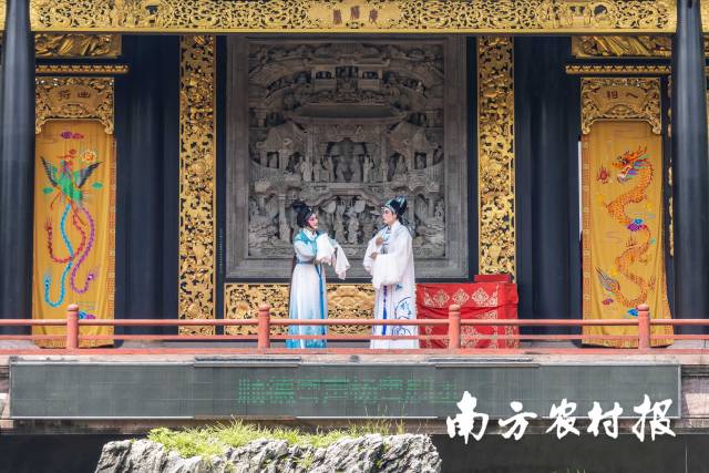 贵牛黔茶体验周活动期间，市民可以在看粤剧的同时，免费体验品鉴贵州黄牛、梵净抹茶。