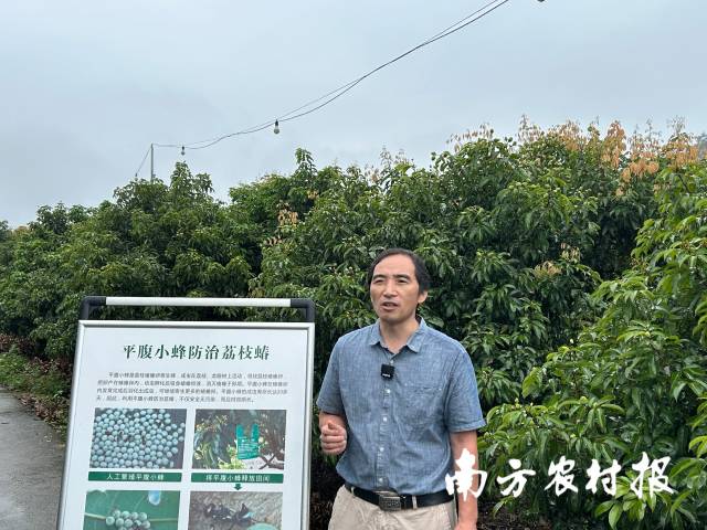 广东省农业科学院植保所副研究员张宝鑫