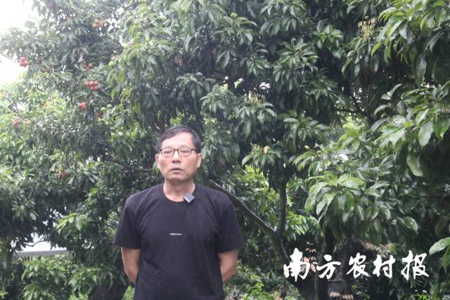 广州市农业农村局植保植检处二级调研员郑康炎