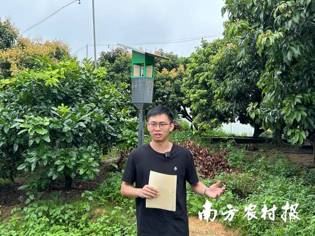 广州市从化区农业环境与植物保护站农艺师蔡永健