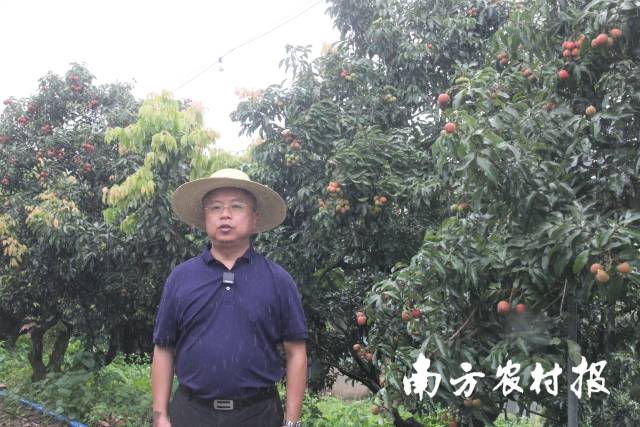 广东省农业有害生物预警防控中心主任彭彬