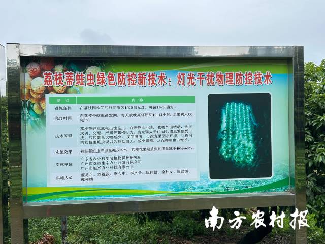 灯光干扰物理防控技术