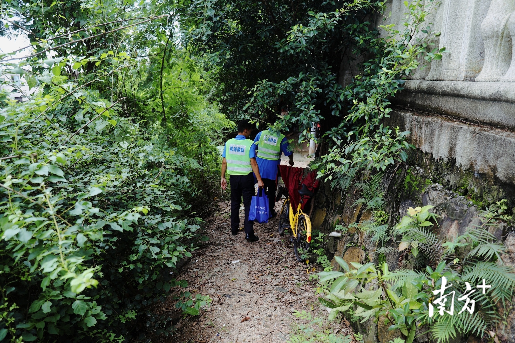 救助站工作人员带上物资去桥底聚集点“送温暖”。&nbsp; 钱文攀 摄