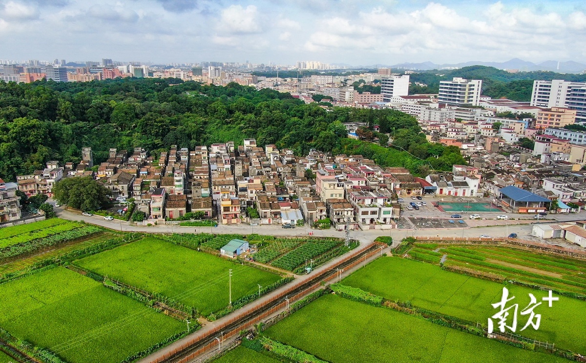 鸟瞰起凤环社区。 南方+ 叶志文 拍摄