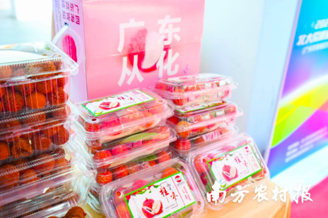 活动现场展示销售从化荔枝及荔枝产品。 活动现场展示销售从化荔枝及荔枝产品。