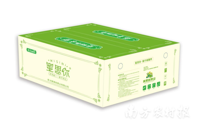 “蜜思你”包装盒-BV绿款：以沉稳的蜂糖李绿为主色调，展现镇宁蜂糖李作为农业产业知名品牌更好的发展未来。