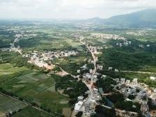 电白区沙琅镇谭儒村：“萝卜村”蹚出规模化种植升级路 | 典型村一线行㉖