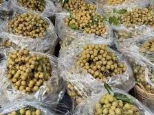 “95后”高州电商直播达人今年将圆梦销售额超亿元｜我在家乡筑梦想