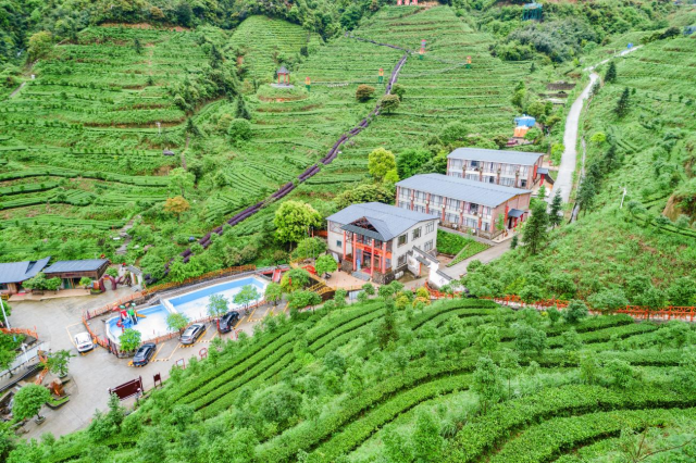 皇后山茶园以保留原始自然生态康养环境、打造“休闲保健养生、旅游文化地”为发展方向。