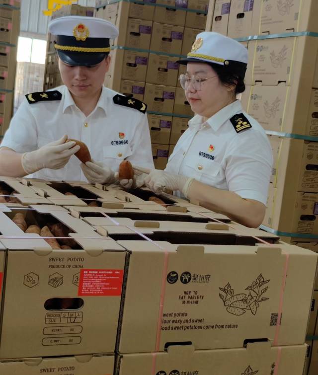 南方农村报 王富迪 拍摄