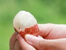 一品“观音绿”