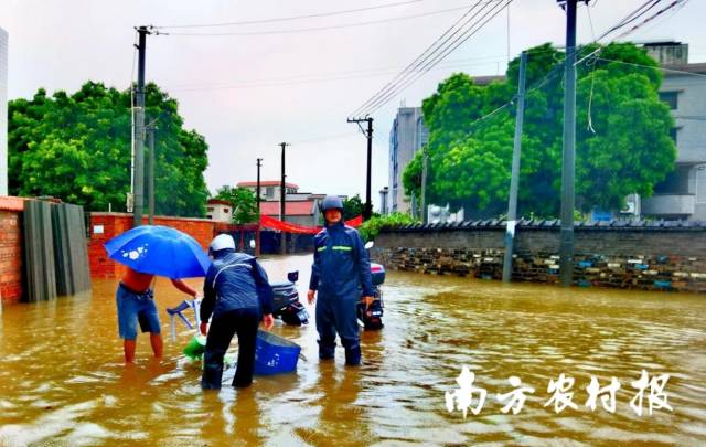 防臺應(yīng)急搶險之清除交通隱患,。 