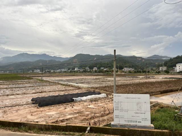 急流严酷当时的邹坊村落，摄于2024年6月23日。（郑文意/摄）