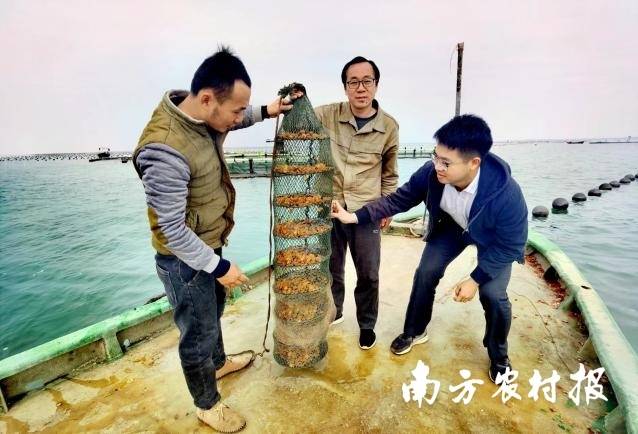 科技特派員為養(yǎng)殖戶“問診把脈”,。  