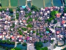 家在九江⑬丨何以称“儒林”？