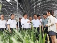 武江区召开区委农村工作会议暨深入实施“百千万工程”推进会