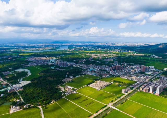 南溪稻田画  杨浩彬/摄