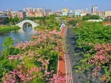 力推“头号工程”全面突破，南海如何提速加力？